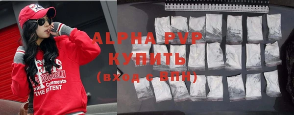 стаф Ельня