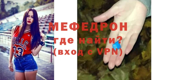стаф Ельня