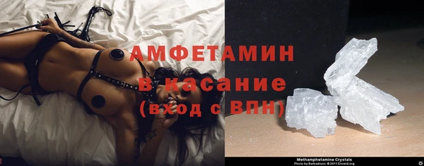 стаф Ельня