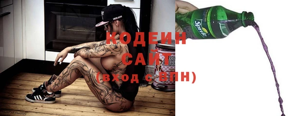 стаф Ельня
