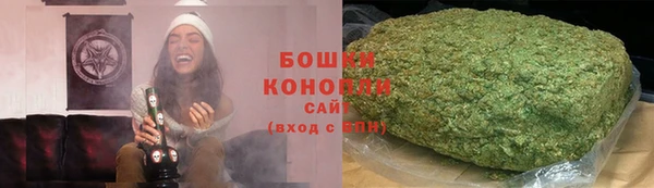 стаф Ельня
