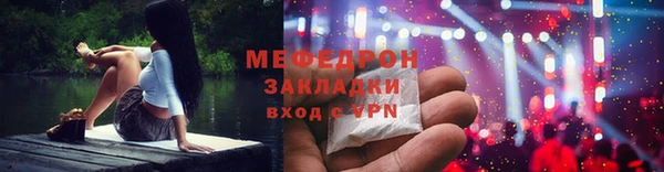 стаф Ельня