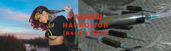 стаф Ельня