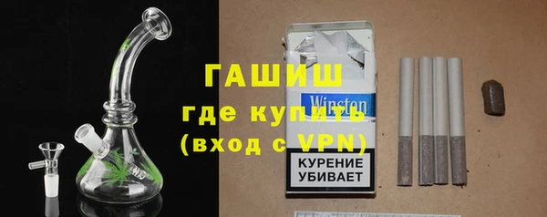 стаф Ельня