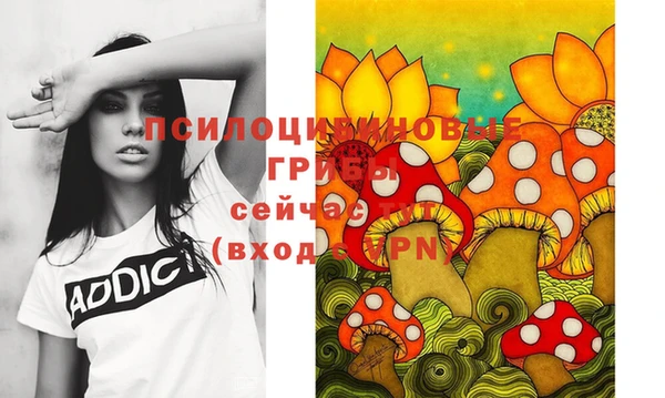 МДПВ Елизово