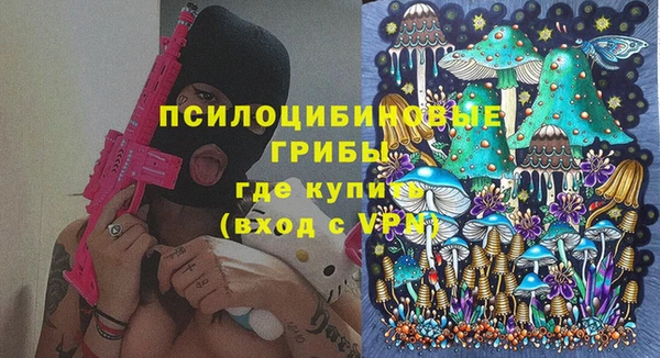 МДПВ Елизово