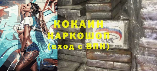 стаф Ельня