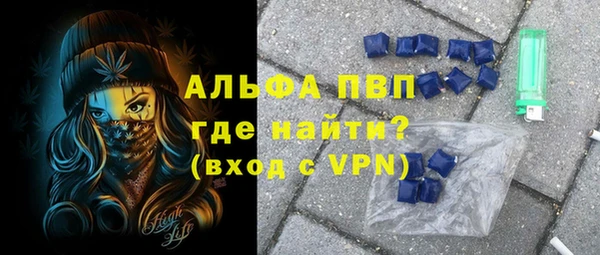 стаф Ельня