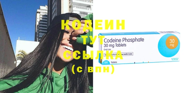 стаф Ельня