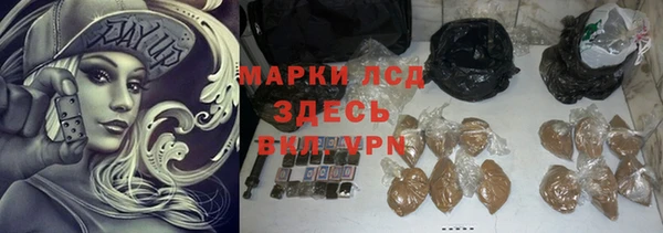 стаф Ельня