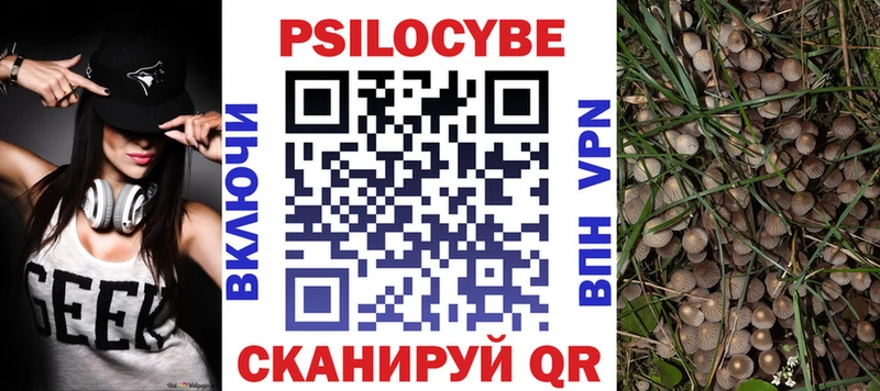 Галлюциногенные грибы Magic Shrooms Сальск