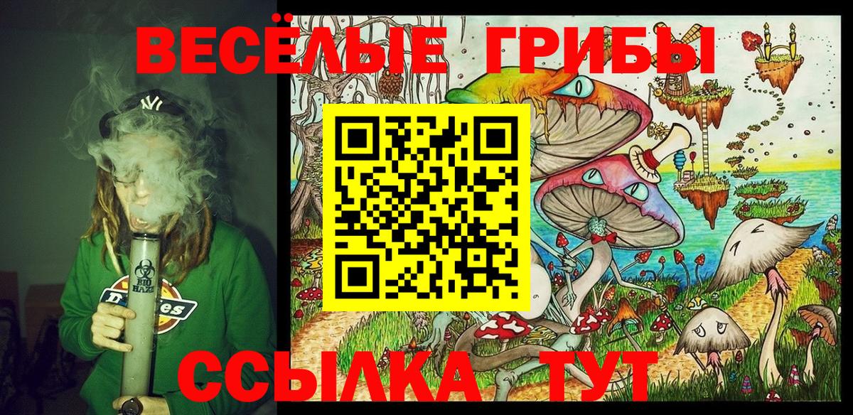 Галлюциногенные грибы мицелий  Вход с VPN  Сальск 
