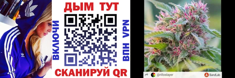закладки  Сальск  Шишки марихуана Bruce Banner 